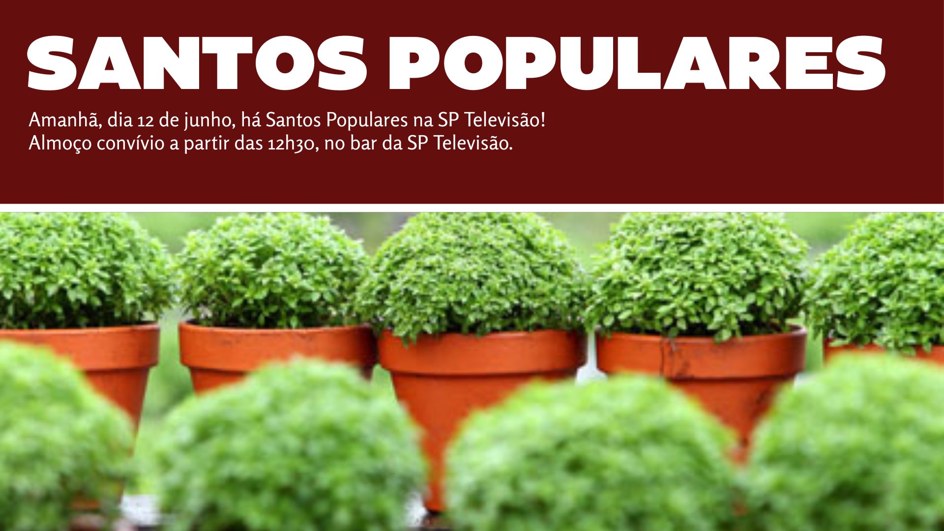Santos Populares na SP Televisão